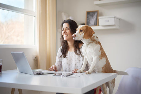 Home Office with Dog