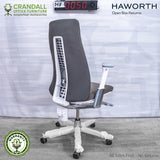 HF-0050 - Haworth Fern