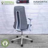 HF-0138 - Haworth Fern