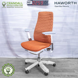 HF-0259 - Haworth Fern