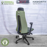 HF-0272 - Haworth Fern with Headrest