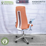 HF-0275 - Haworth Fern