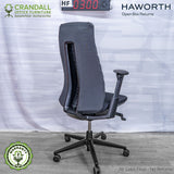 HF-0300 - Haworth Fern