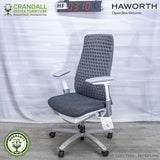 HF-0310 - Haworth Fern
