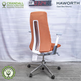 HF-0324 - Haworth Fern