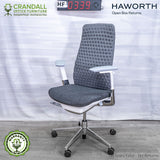 HF-0339 - Haworth Fern