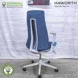 HF-0348 - Haworth Fern