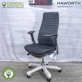 HF-0376 - Haworth Fern