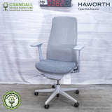 HF-0382 - Haworth Fern