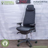 HF-0482 - Haworth Open Box Returns Fern