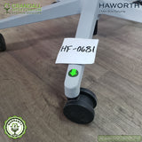 HF-0681 - Haworth Open Box Returns Fern