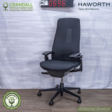HF-0696 - Haworth Open Box Returns Fern