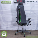 HF-0712 - Haworth Open Box Returns Fern - XBOX