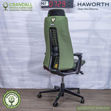 HF-0729 - Haworth Open Box Returns Fern - HALO