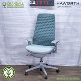 HF-0771 - Haworth Open Box Returns Fern