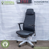 HF-0783 - Haworth Open Box Returns Fern