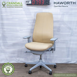 HF-0793 - Haworth Open Box Returns Fern
