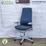 HF-0797 - Haworth Open Box Returns Fern