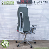 HF-0916 - Haworth Open Box Returns Fern