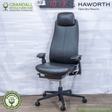HF-1013 - Haworth Open Box Returns Fern