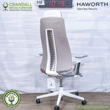 HF-1019 - Haworth Open Box Returns Fern