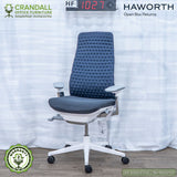 HF-1027 - Haworth Open Box Returns Fern