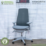 HF-1043 - Haworth Open Box Returns Fern