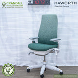 HF-1073 - Haworth Open Box Returns Fern