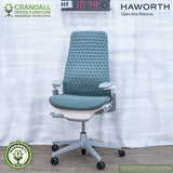 HF-1079 - Haworth Open Box Returns Fern